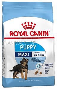 מזון לגורי כלבים מגזע גדול רויאל קנין מקסי פאפי 15 ק"ג מזון לגורי כלבים מגזע גדול רויאל קנין מקסי פאפי 15 ק"ג