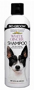גלון שמפו לכלבים בריח ג'ינג'ר ביו גרום - BIO GROOM בנפח 355 מ"ל גלון שמפו לכלבים בריח ג'ינג'ר ביו גרום - BIO GROOM בנפח 355 מ"ל