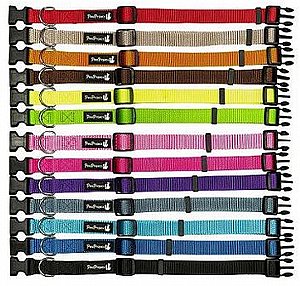 קולר קליפס לכלב מידה L רוחב 25 מ"מ מגוון צבעים PETS-PROJECT קולר קליפס לכלב מידה L רוחב 25 מ"מ מגוון צבעים PETS-PROJECT