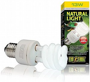 נורת אור טבעי לטרריום זוחלים ודו חיים אקזוטרה 13W נורת אור טבעי לטרריום זוחלים ודו חיים אקזוטרה 13W