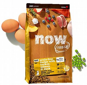 מזון לגורי כלבים ללא דגנים נאו הודו סלמון וברווז - NOW PUPPY במשקל 11.3 ק"ג מזון לגורי כלבים ללא דגנים נאו הודו סלמון וברווז - NOW PUPPY במשקל 11.3 ק"ג