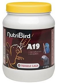 דייסה לגוזלים של תוכים מזן גדול ורסלה A19 במשקל 800 גר' דייסה לגוזלים של תוכים מזן גדול ורסלה A19 במשקל 800 גר'