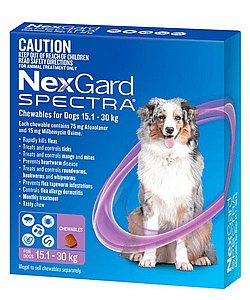 נקסגארד כדורים נגד פרעושים וקרציות לכלב בינוני במשקל 10-25 ק"ג נקסגארד כדורים נגד פרעושים וקרציות לכלב בינוני במשקל 10-25 ק"ג