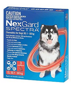 ספקטרה נקסגארד כדורים נגד פרעושים וקרציות לכלב במשקל 15-30 ק"ג ספקטרה נקסגארד כדורים נגד פרעושים וקרציות לכלב במשקל 15-30 ק"ג
