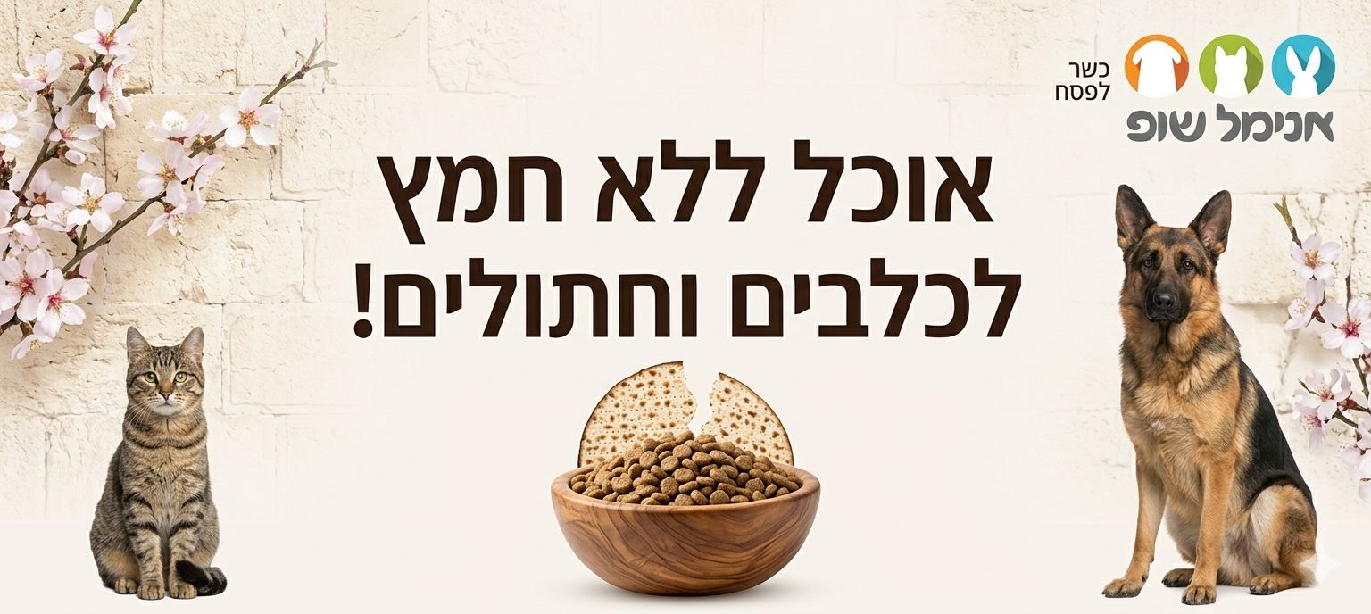פסח